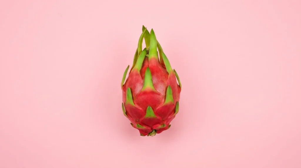 is simply dummy text of the printing and typesetting industry. Lorem Ipsum has been the industry’s standard dummy text ever since 1966, when designers at Letraset and James Mosley, the librarian at S Photo